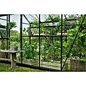 Halls Gewächshaus Burford 610 (Außenmaß inkl. Dachüberstand (B x T): 194 x 318 cm, Material Seitenwand: Glas, 3 mm, Schwarz) | BAUHAUS
