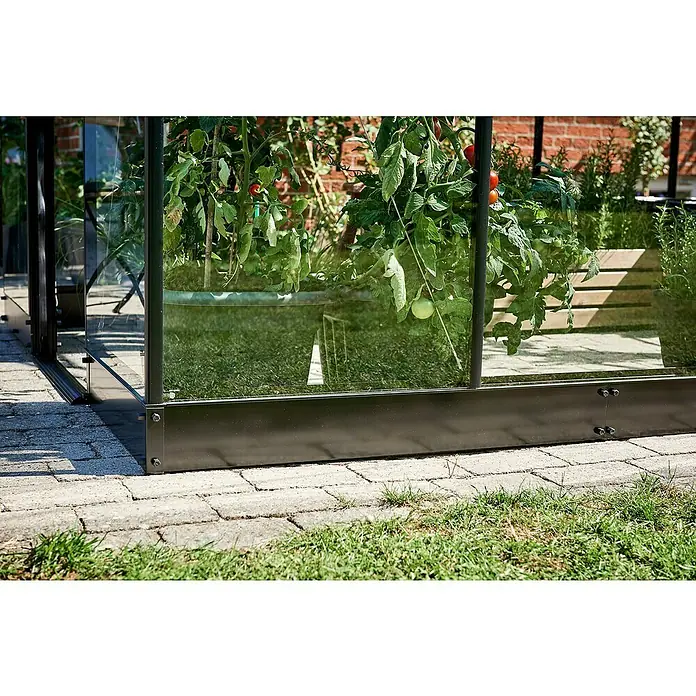 Halls Gewächshaus-Fundamentrahmen - 321 x 198 x 12 cm, Passend für: Halls Gewächshaus Qube 610 - Detailaufnahme eines Gewächshauses mit Tomatenpflanzen, das auf einem gepflasterten Untergrund steht und von Rasen umgeben ist.