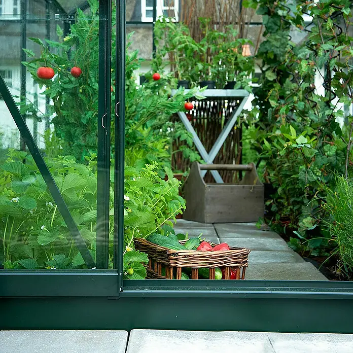 Halls Gewächshaus Popular 86 - Außenmaß inkl. Dachüberstand (B x T): 193 x 257 cm, Material Seitenwand: Glas, 3 mm, Grün, Mit Fundament - Einblick in ein Gewächshaus mit reifen Tomaten, Gurken und Erdbeeren, geerntet in einem rustikalen Weidenkorb vor dem grünen Glas.