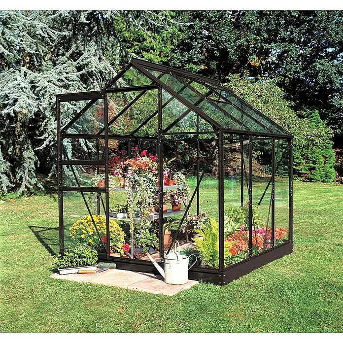 Halls Gewächshaus Popular 66 - Außenmaß inkl. Dachüberstand (B x T): 193 x 195 cm, Blankglas, 3 mm, Schwarz - Ein Gewächshaus voller Pflanzen, das einen sicheren und stilvollen Raum für das Pflanzenwachstum bietet.