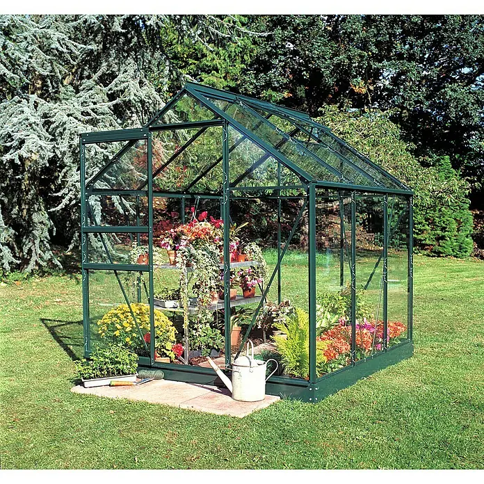 Halls Gewächshaus Popular 66 - Außenmaß inkl. Dachüberstand (B x T): 193 x 195 cm, Einscheibensicherheitsglas, 3 mm, Grün - Gewächshaus mit Pflanzen und Blumen. Das grüne Gewächshaus steht auf einer Rasenfläche und ist mit verschiedenen Pflanzen bestückt.