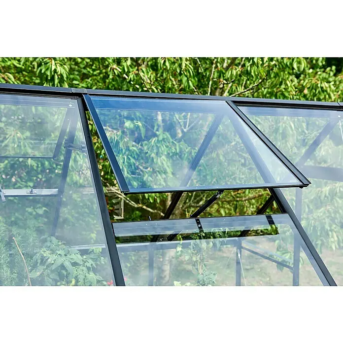 Halls Gewächshaus Qube 610 - Außenmaß inkl. Dachüberstand (B x T): 198 x 321 cm, Material Seitenwand: Glas, 3 mm, Schwarz - Nahaufnahme eines Gewächshauses mit geöffnetem Fenster zur Belüftung, das frische Pflanzen zeigt.