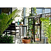 Juliana Gewächshaus Urban Balcony (Außenmaß inkl. Dachüberstand (B x T): 60 x 27 cm, Material Seitenwand: Glas, 4 mm, Schwarz) | BAUHAUS