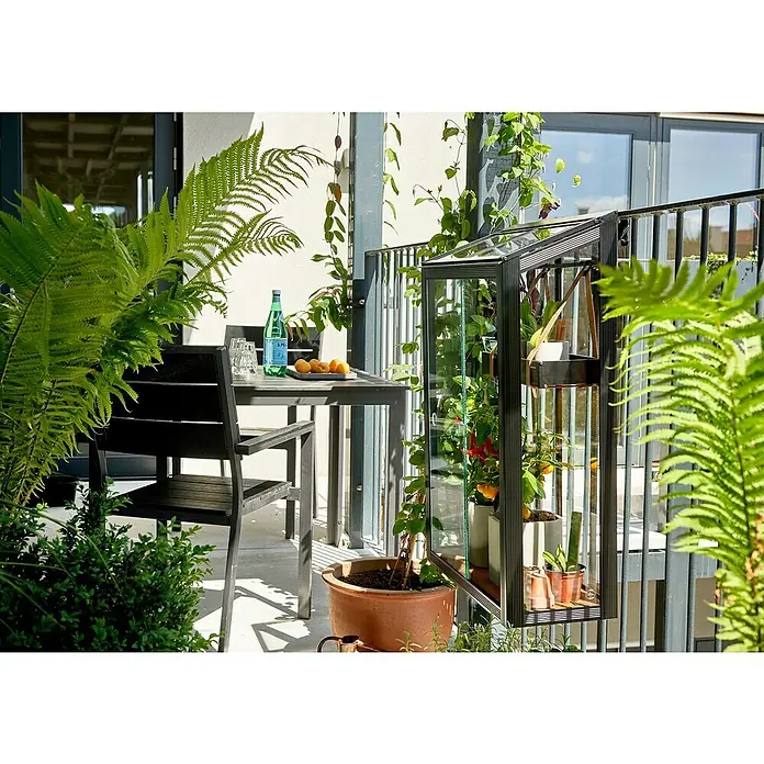 Juliana Gewächshaus Urban Balcony - Außenmaß inkl. Dachüberstand (B x T): 60 x 27 cm, Material Seitenwand: Glas, 4 mm, Schwarz - Bild eines Balkons mit einem kleinen Gewächshaus, einem Tisch, Stuhl und Grünpflanzen. Das Gewächshaus bietet Platz für kleine Pflanzen.