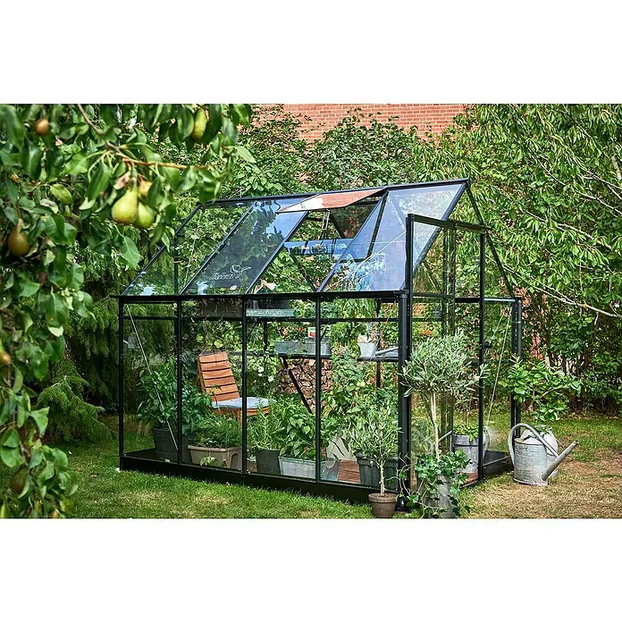 Halls Gewächshaus Qube 68 - Außenmaß inkl. Dachüberstand (B x T): 198 x 259 cm, Material Seitenwand: Glas, 3 mm, Schwarz - Ein geräumiges Gewächshaus mit Pflanzen, einem Stuhl und Gartengeräten im Inneren. Es hat eine stabile, dunkle Rahmenkonstruktion.