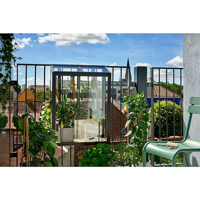 Juliana Gewächshaus Urban Balcony (Außenmaß inkl. Dachüberstand (B x T): 60 x 27 cm, Material Seitenwand: Glas, 4 mm, Schwarz) | BAUHAUS