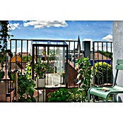 Juliana Gewächshaus Urban Balcony (Außenmaß inkl. Dachüberstand (B x T): 60 x 27 cm, Material Seitenwand: Glas, 4 mm, Schwarz) | BAUHAUS