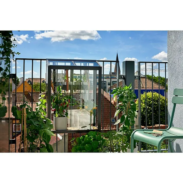 Juliana Gewächshaus Urban Balcony - Außenmaß inkl. Dachüberstand (B x T): 60 x 27 cm, Material Seitenwand: Glas, 4 mm, Schwarz - Bild eines kleinen Gewächshauses auf einem Balkon mit Gemüse und Kräutern, das eine urbane Gartenoase schafft.