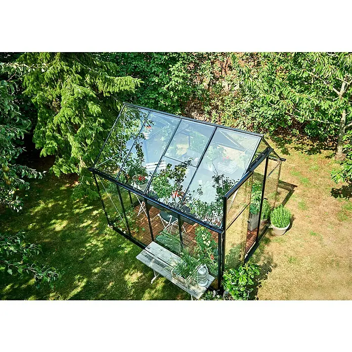 Halls Gewächshaus Qube 68 - Außenmaß inkl. Dachüberstand (B x T): 198 x 259 cm, Material Seitenwand: Glas, 3 mm, Schwarz - Ein geräumiges Gewächshaus aus Glas und Metall inmitten eines üppigen Gartens, ideal für den Anbau verschiedener Pflanzen.