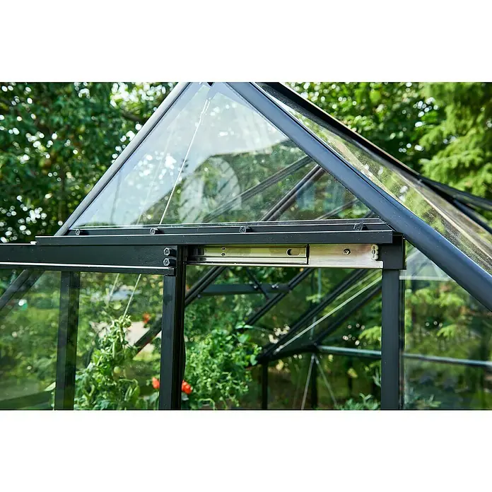 Halls Gewächshaus Qube 610 - Außenmaß inkl. Dachüberstand (B x T): 198 x 321 cm, Material Seitenwand: Glas, 3 mm, Schwarz - Nahaufnahme eines Gewächshauses mit Pflanzen im Inneren, das Design und Funktionalität für den Gartenbau vereint.