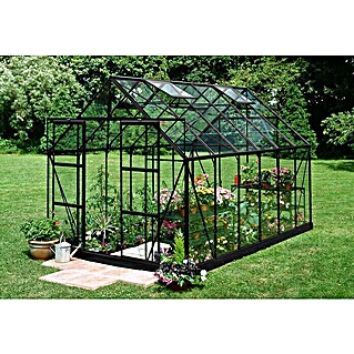 Halls Gewächshaus Magnum 128 (Außenmaß inkl. Dachüberstand (B x T): 257 x 384 cm, Blankglas, 3 mm, Schwarz)