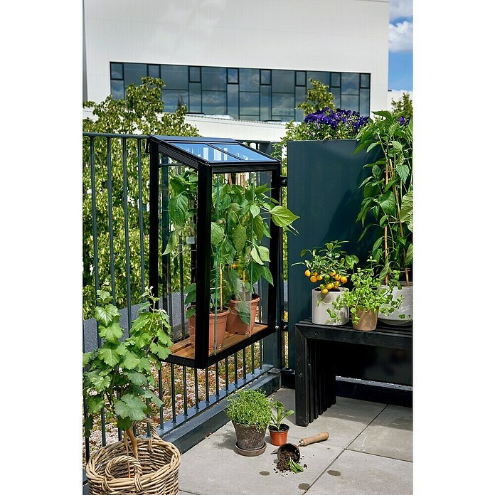 Juliana Gewächshaus Urban Balcony (Außenmaß inkl. Dachüberstand (B x T): 60 x 27 cm, Material Seitenwand: Glas, 4 mm, Schwarz) | BAUHAUS