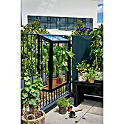 Juliana Gewächshaus Urban Balcony (Außenmaß inkl. Dachüberstand (B x T): 60 x 27 cm, Material Seitenwand: Glas, 4 mm, Schwarz) | BAUHAUS