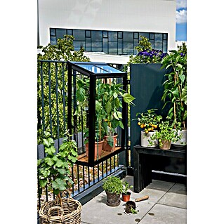 Juliana Gewächshaus Urban Balcony (Außenmaß inkl. Dachüberstand (B x T): 60 x 27 cm, Material Seitenwand: Glas, 4 mm, Schwarz)