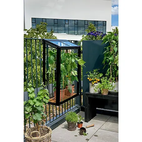 Juliana  Gewächshaus Urban Balcony