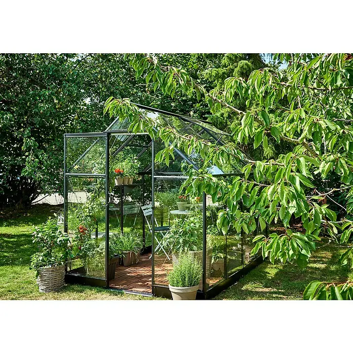 Halls Gewächshaus Qube 68 - Außenmaß inkl. Dachüberstand (B x T): 198 x 259 cm, Material Seitenwand: Glas, 3 mm, Schwarz - Das Bild zeigt ein Gewächshaus mit Glaswänden und Pflanzen darin. Draußen gibt es einen Garten mit Bäumen und Grünflächen.