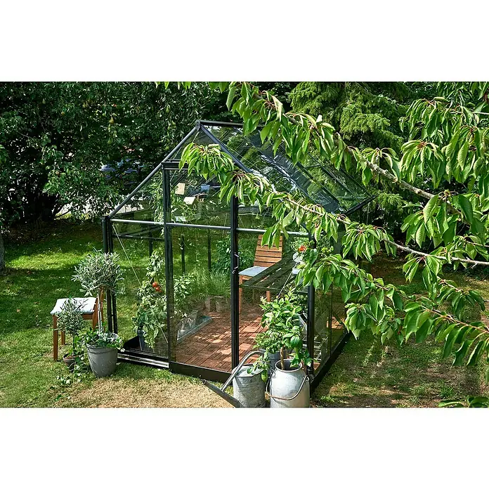 Halls Gewächshaus Qube 68 - Außenmaß inkl. Dachüberstand (B x T): 198 x 259 cm, Material Seitenwand: Glas, 3 mm, Schwarz - Ansicht eines Glasgewächshauses im Garten mit Pflanzen und Zubehör.