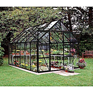 Halls Gewächshaus Magnum 128 (Außenmaß inkl. Dachüberstand (B x T): 257 x 384 cm, Einscheibensicherheitsglas, 3 mm, Schwarz)