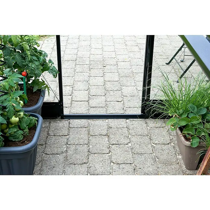 Halls Gewächshaus Qube 68 - Außenmaß inkl. Dachüberstand (B x T): 198 x 259 cm, Material Seitenwand: Glas, 3 mm, Schwarz - Ein detailliertes Foto von Pflanztöpfen mit Tomaten und anderen Pflanzen, die neben einer Tür auf einem gepflasterten Bereich stehen.