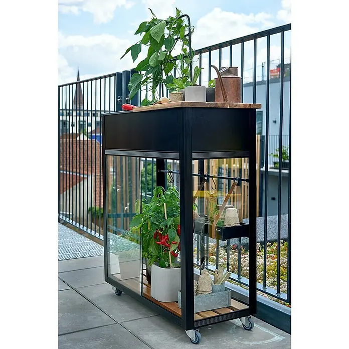 Juliana Gewächshaus Urban - Außenmaß inkl. Dachüberstand (B x T): 82 x 38 cm, Material Seitenwand: Glas, 4 mm, Schwarz - Der rollbare Pflanztisch mit Glaswänden bietet Platz für Pflanzen und Gartengeräte auf zwei Ebenen. Die Tischplatte ist aus Holz gefertigt.