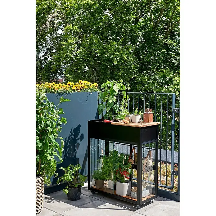 Juliana Gewächshaus Urban - Außenmaß inkl. Dachüberstand (B x T): 82 x 38 cm, Material Seitenwand: Glas, 4 mm, Schwarz - Balkon-Gartentisch mit Kräutern, Tomaten und Blumen. Optimal zum Anpflanzen und zur Aufbewahrung von Gartengeräten.