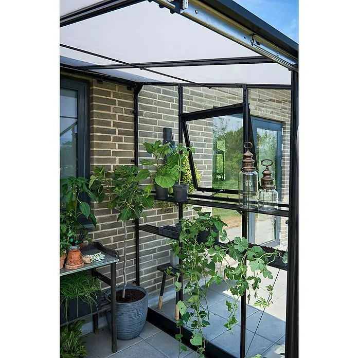Halls Gewächshaus Qube Lean-to 68 - Außenmaß inkl. Dachüberstand (B x T): 251 x 188 cm, Material Seitenwand: Glas, Schwarz - Ein Gewächshaus mit Pflanzen, Regalen und dekorativen Laternen vor einer Backsteinmauer, das natürliches Licht hereinlässt und eine friedliche Atmosphäre schafft.