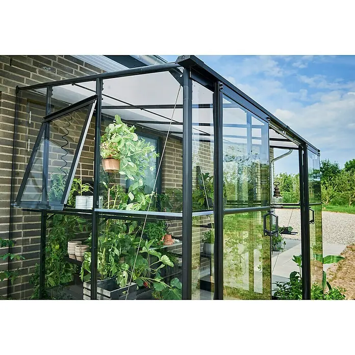 Halls Gewächshaus Qube Lean-to 68 - Außenmaß inkl. Dachüberstand (B x T): 251 x 188 cm, Material Seitenwand: Glas, Schwarz - Gewächshaus mit Pflanzen. Das Gewächshaus verfügt über eine schwarze Metallstruktur und Glasscheiben. Im Inneren wachsen verschiedene Pflanzen in Töpfen und auf Regalen.