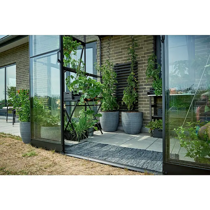 Halls Gewächshaus Qube Lean-to 68 - Außenmaß inkl. Dachüberstand (B x T): 251 x 188 cm, Material Seitenwand: Glas, Schwarz - Das Foto zeigt ein Gewächshaus mit verschiedenen Pflanzen in Töpfen, darunter Tomaten und Erdbeeren, die auf einem grauen Teppich stehen.