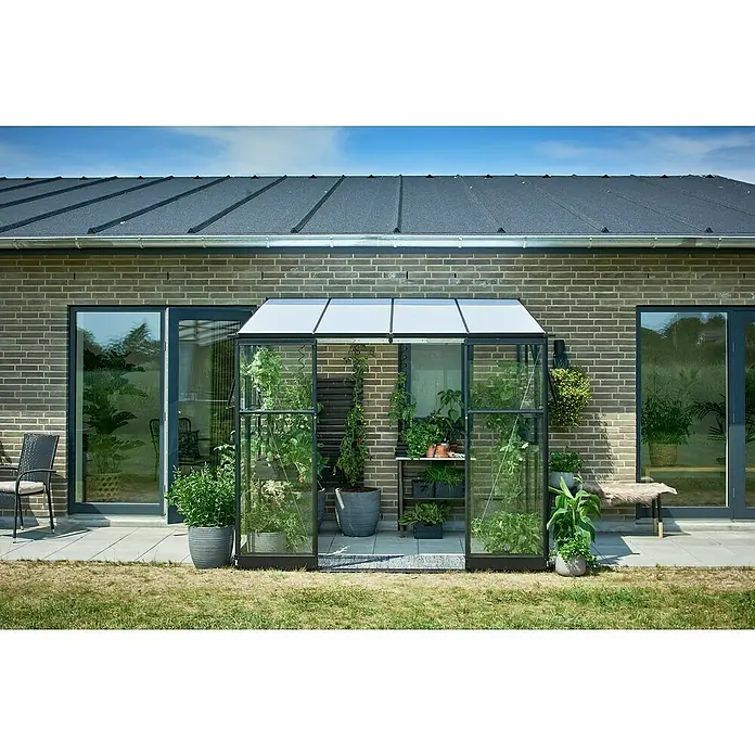 Halls Gewächshaus Qube Lean-to 68 - Außenmaß inkl. Dachüberstand (B x T): 251 x 188 cm, Material Seitenwand: Glas, Schwarz - Das Bild zeigt ein Gewächshaus aus Glas, das an ein Haus mit Ziegelmauerwerk angebaut ist. Das Gewächshaus beherbergt verschiedene Pflanzen.