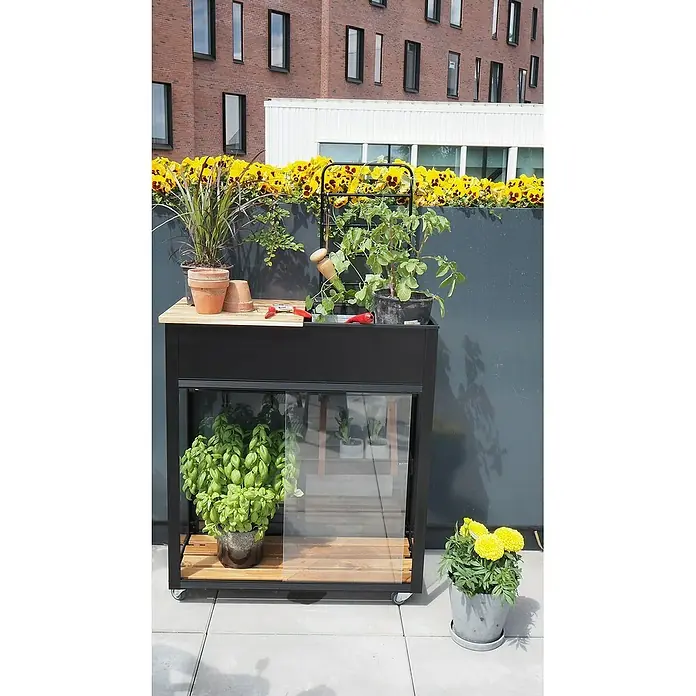 Juliana Gewächshaus Urban - Außenmaß inkl. Dachüberstand (B x T): 82 x 38 cm, Material Seitenwand: Glas, 4 mm, Schwarz - Nahaufnahme eines stilvollen, schwarzen Gartenarbeitstisches mit Pflanzen und Werkzeugen auf einer Terrasse.
