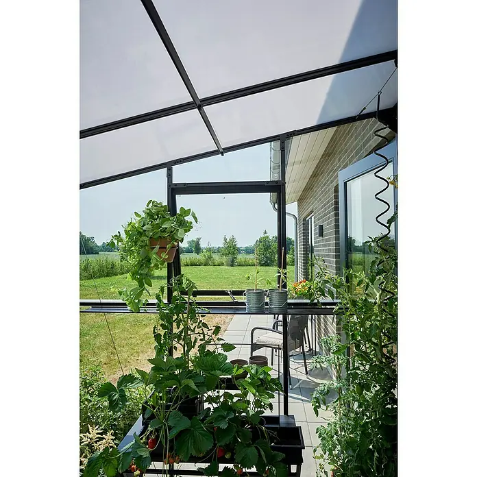 Halls Gewächshaus Qube Lean-to 68 - Außenmaß inkl. Dachüberstand (B x T): 251 x 188 cm, Material Seitenwand: Glas, Schwarz - Ein sonnendurchfluteter Gewächshausanbau mit üppigen Erdbeeren, Tomaten und Hängepflanzen, der eine grüne Oase schafft.
