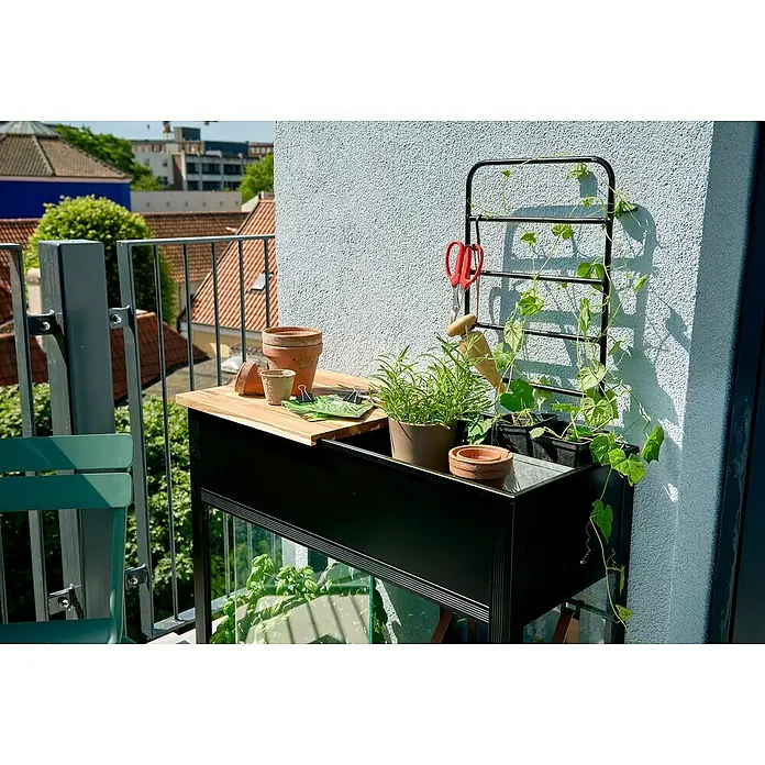 Juliana Gewächshaus Urban - Außenmaß inkl. Dachüberstand (B x T): 82 x 38 cm, Material Seitenwand: Glas, 4 mm, Schwarz - Ein Pflanztisch mit Holzplatte, schwarzen Kasten und Rankgitter an einer Wand mit Gartenwerkzeug und Pflanzen auf einem sonnigen Balkon.