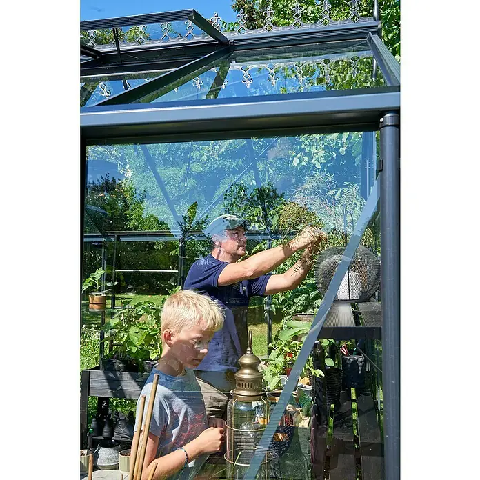 Juliana Gewächshaus Orangerie - Außenmaß inkl. Dachüberstand (B x T): 583 x 439 cm, Material Seitenwand: Glas, 3 mm, Anthrazit/Schwarz - Ein Gewächshaus mit transparenten Glaswänden, in dem ein Mann und ein Junge Pflanzen pflegen. Das Gewächshaus hat ein filigranes Design.