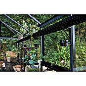Juliana Gewächshaus Grand Oase (Außenmaß inkl. Dachüberstand (B x T): 439 x 583 cm, Material Seitenwand: Glas, 3 mm, Anthrazit/Schwarz) | BAUHAUS
