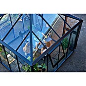 Juliana Gewächshaus Oase (Außenmaß inkl. Dachüberstand (B x T): 296 x 296 cm, Material Seitenwand: Glas, 3 mm, Anthrazit/Schwarz) | BAUHAUS
