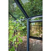 Juliana Gewächshaus Grand Oase (Außenmaß inkl. Dachüberstand (B x T): 439 x 583 cm, Material Seitenwand: Glas, 3 mm, Anthrazit/Schwarz) | BAUHAUS