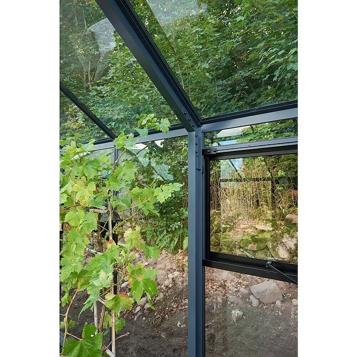 Juliana Gewächshaus Grand Oase - Außenmaß inkl. Dachüberstand (B x T): 439 x 583 cm, Material Seitenwand: Glas, 3 mm, Anthrazit/Schwarz - Nahaufnahme eines Gewächshauses mit Fenster und Pflanzen, das eine ruhige Gartenszene zeigt.