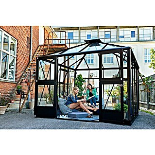 Juliana Gewächshaus Oase (Außenmaß inkl. Dachüberstand (B x T): 296 x 296 cm, Material Seitenwand: Glas, 3 mm, Anthrazit/Schwarz)