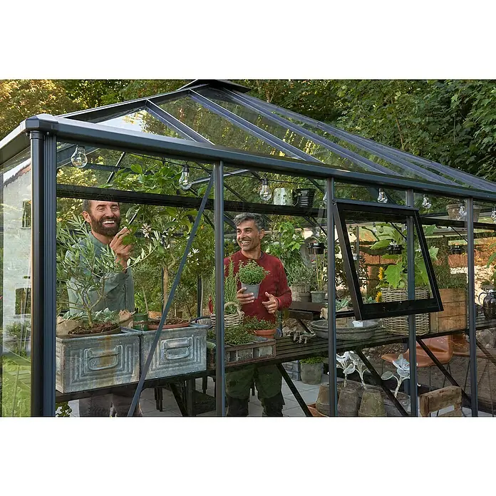 Juliana Gewächshaus Grand Oase - Außenmaß inkl. Dachüberstand (B x T): 439 x 583 cm, Material Seitenwand: Glas, 3 mm, Anthrazit/Schwarz - Gewächshaus-Interieur mit zwei Männern, die Pflanzen präsentieren, Töpfe und Regale. Das Gewächshaus bietet ein optimales Wachstumsumfeld.