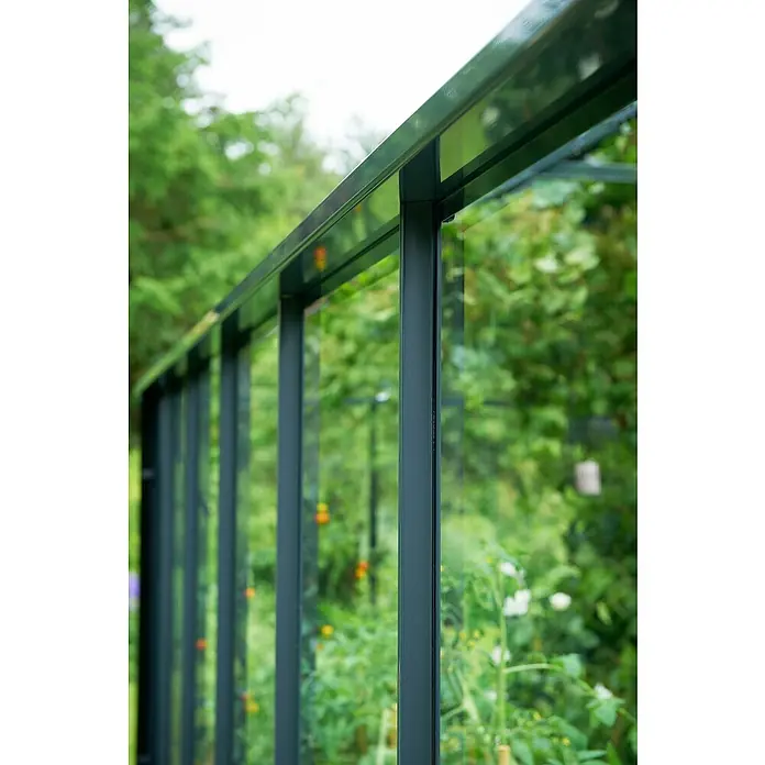 Juliana Gewächshaus Compact - Außenmaß inkl. Dachüberstand (B x T): 224 x 224 cm, Material Seitenwand: Kunststoff, 10 mm, Anthrazit/Schwarz - Nahaufnahme eines Gewächshauses aus Glas und Metall, das einen Einblick in das üppige Grün und die Pflanzenwelt im Inneren bietet.