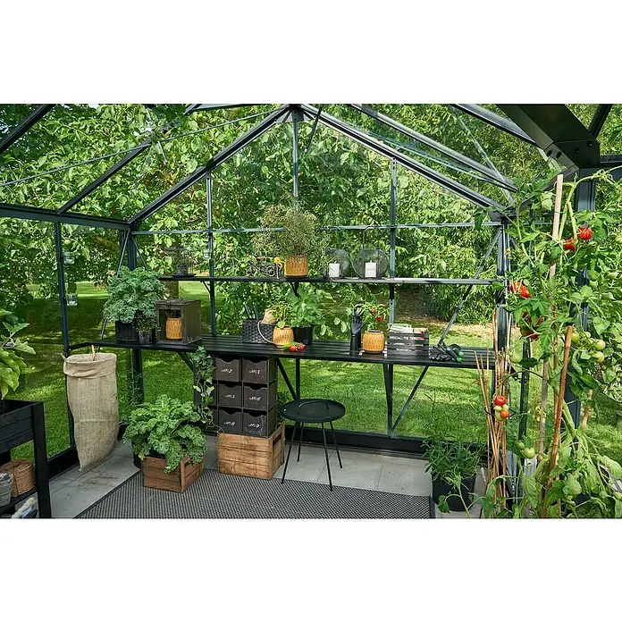 Juliana Gewächshaus Orangerie - Außenmaß inkl. Dachüberstand (B x T): 583 x 439 cm, Material Seitenwand: Glas, 3 mm, Anthrazit/Schwarz - Ein Gewächshaus mit Pflanzen, Werkzeugen und dekorativen Gegenständen auf Regalen und Tischen, das eine ruhige Gartenatmosphäre vermittelt.