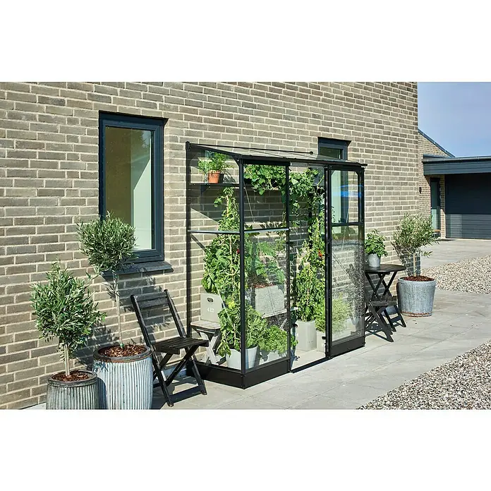Halls Gewächshaus Qube Lean-to 26 - Außenmaß inkl. Dachüberstand (B x T): 189 x 65 cm, Material Seitenwand: Glas, 3 mm, Schwarz - Das Gewächshaus mit Pflanzen und Tomaten bietet eine ideale Umgebung für das Gärtnern. Es ist perfekt für den Anbau verschiedener Pflanzen und Gemüse.