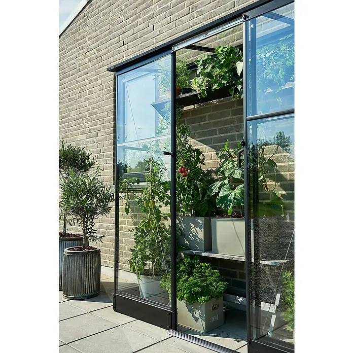 Halls Gewächshaus Qube Lean-to 26 - Außenmaß inkl. Dachüberstand (B x T): 189 x 65 cm, Material Seitenwand: Glas, 3 mm, Schwarz - Nahaufnahme eines Gewächshauses mit Pflanzen auf Regalen und Töpfen, das eine ruhige und idyllische Gartenszene darstellt.