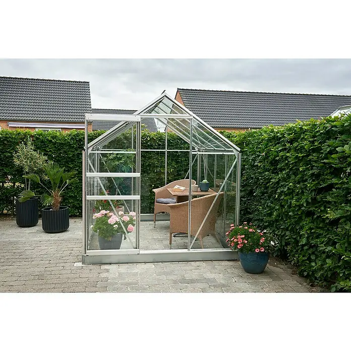 Halls Gewächshaus Popular 86 - Außenmaß inkl. Dachüberstand (B x T): 193 x 257 cm, Material Seitenwand: Glas, 3 mm, Silbergrau - Ein Gewächshaus mit Pflanzen und Möbeln im Garten, umgeben von grünen Hecken. Das Gewächshaus bietet einen gemütlichen Raum im Freien.