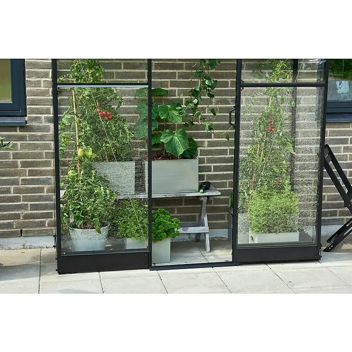 Halls Gewächshaus Qube Lean-to 26 - Außenmaß inkl. Dachüberstand (B x T): 189 x 65 cm, Material Seitenwand: Glas, 3 mm, Schwarz - Glashaus mit verschiedenen Pflanzen in Töpfen und Behältern. Perfekt für Hobbygärtner und zur Zucht von Gemüse auf kleinem Raum.