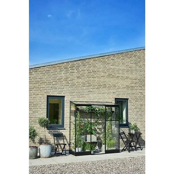 Halls Gewächshaus Qube Lean-to 26 - Außenmaß inkl. Dachüberstand (B x T): 189 x 65 cm, Material Seitenwand: Glas, 3 mm, Schwarz - Ein modernes Gewächshaus aus Glas und schwarzem Metallrahmen, bepflanzt mit Tomaten und Kräutern, steht vor einer Backsteinmauer.