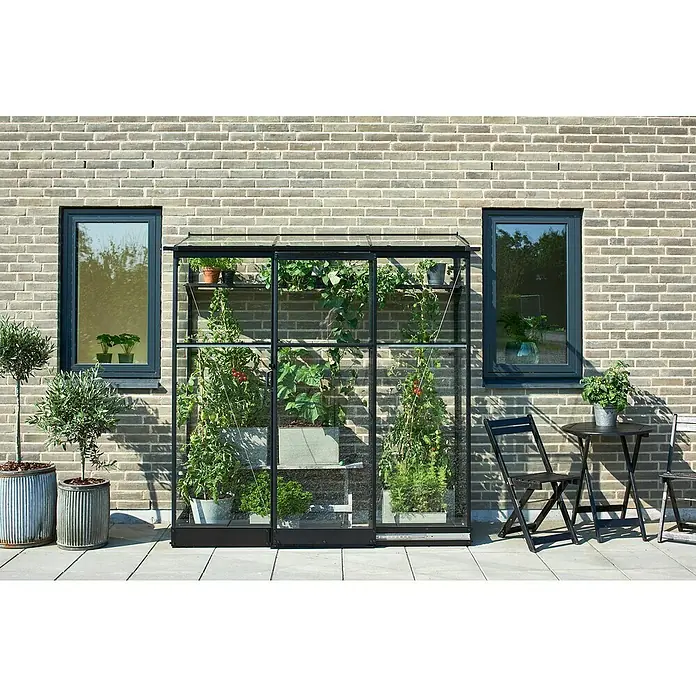 Halls Gewächshaus Qube Lean-to 26 - Außenmaß inkl. Dachüberstand (B x T): 189 x 65 cm, Material Seitenwand: Glas, 3 mm, Schwarz - Ein Gewächshaus mit Pflanzen steht vor einer Backsteinmauer, flankiert von Fenstern und Olivenbäumen in Töpfen. Ein Tisch mit Stühlen steht daneben.