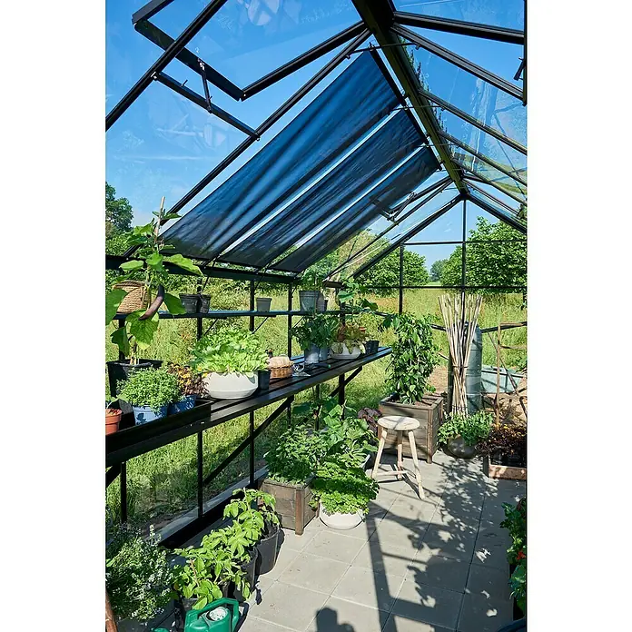 Halls Gewächshaus Blockley 814 - Außenmaß inkl. Dachüberstand (B x T): 256 x 441 cm, Material Seitenwand: Glas, 3 mm, Schwarz - Aufnahme eines Gewächshauses mit Pflanzenregalen, die grüne Pflanzen und Gartengeräte zeigen, unter einer transparenten Glasstruktur.