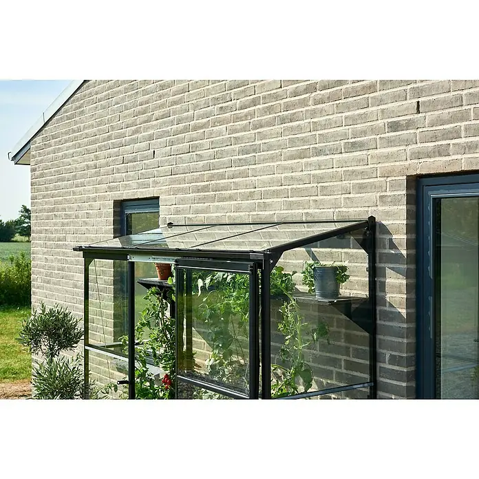 Halls Gewächshaus Qube Lean-to 26 - Außenmaß inkl. Dachüberstand (B x T): 189 x 65 cm, Material Seitenwand: Glas, 3 mm, Schwarz - Nahaufnahme eines Gewächshauses mit Pflanzenregalen, stehend an einer Ziegelwand.