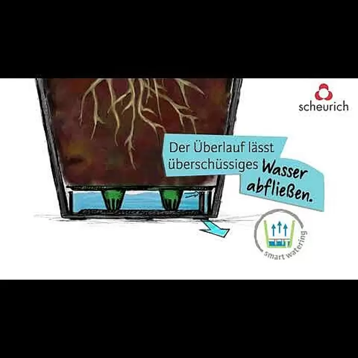 Scheurich Pflanztopf Purista+ - Außenmaß (Ø x H): 29,8 x 24 cm, Kunststoff, Carbonschwarz, Mit Bewässerungssystem - Smart Watering mit Scheurich: So funktioniert unser Bewsserungseinsatz